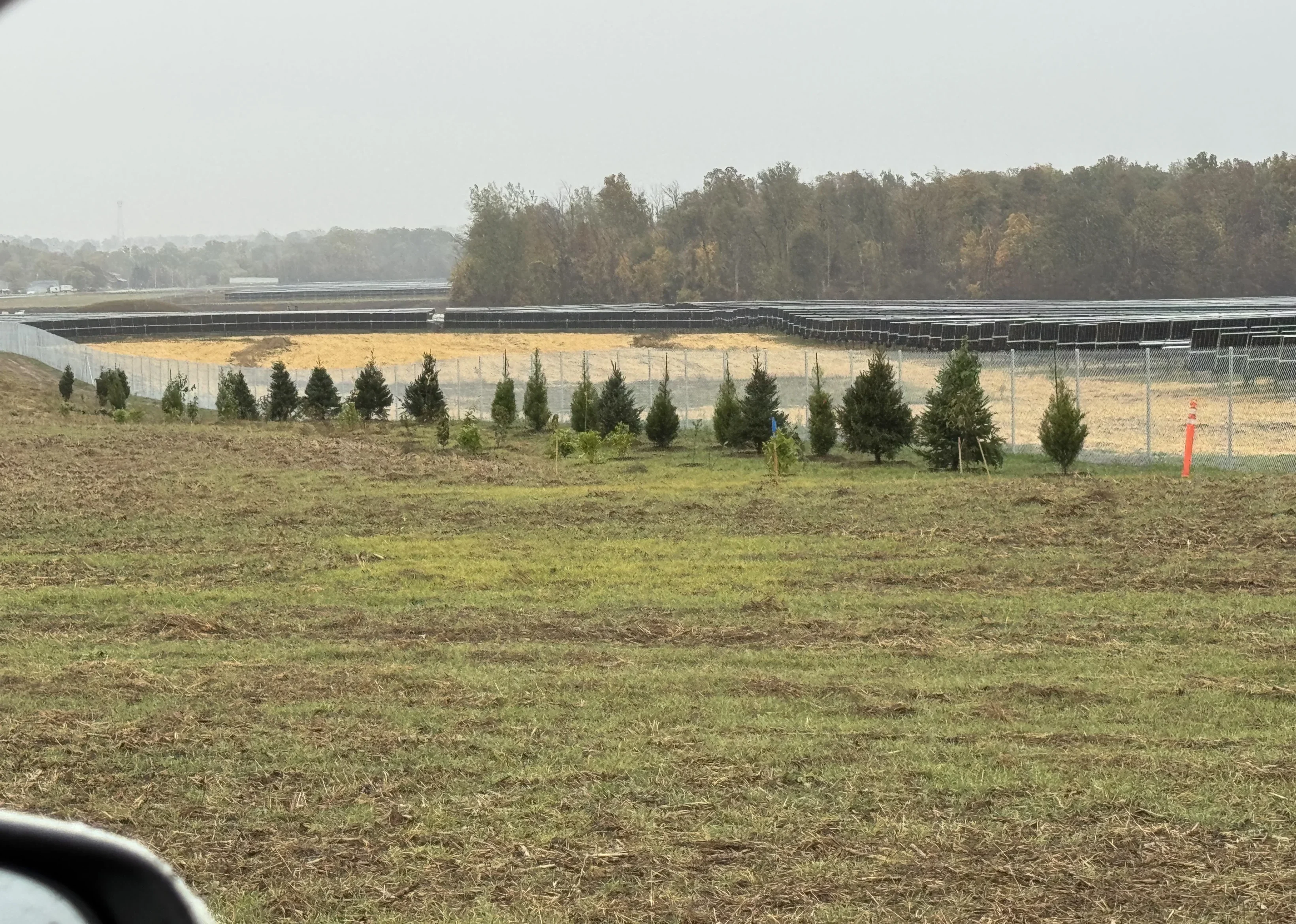 Grass field with tree line
