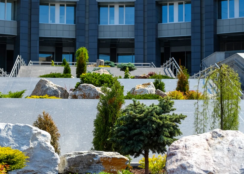 Contemporary architecture and greenery