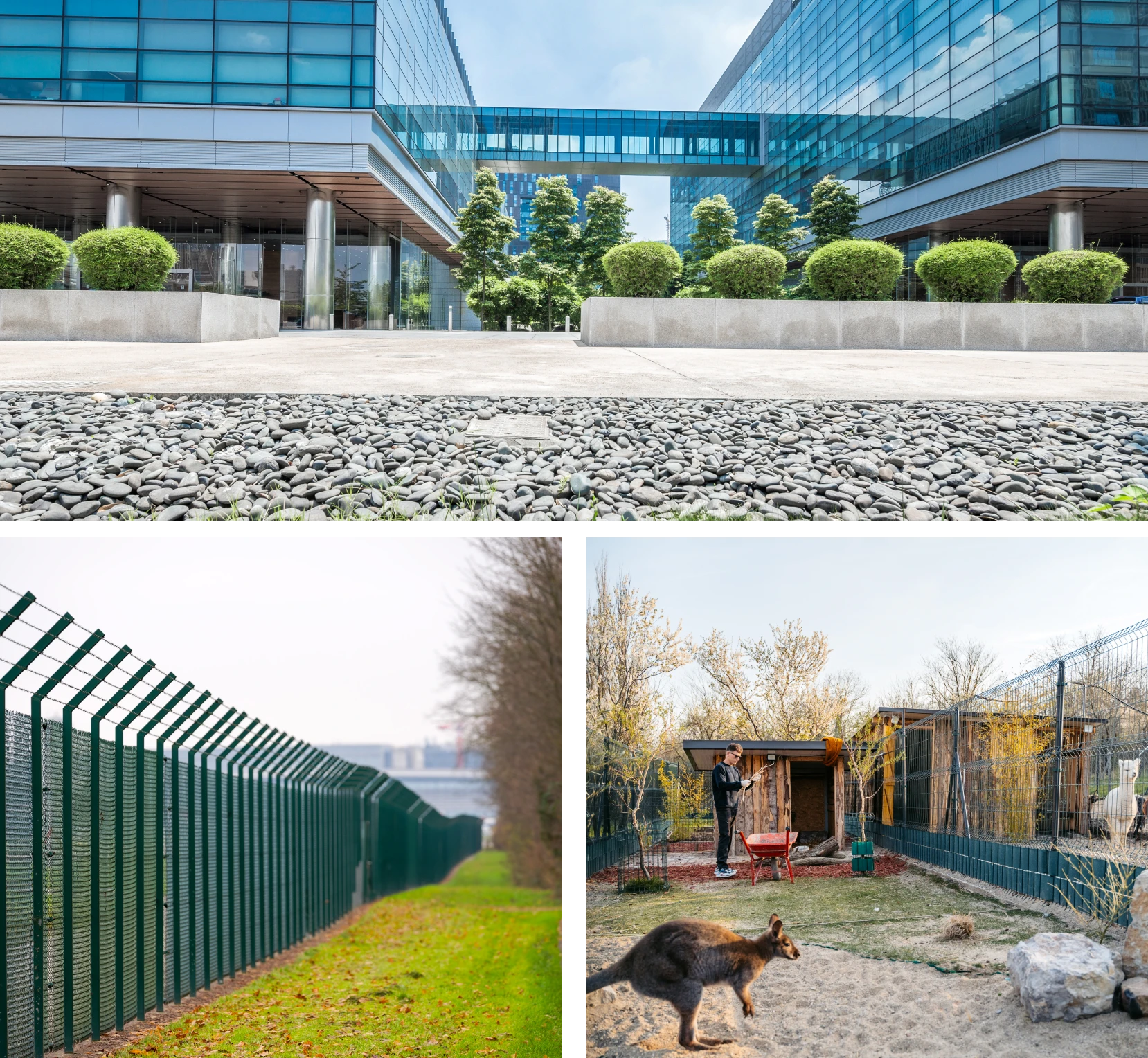 Long green fence beside grass